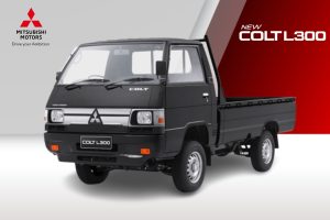 COLT L300